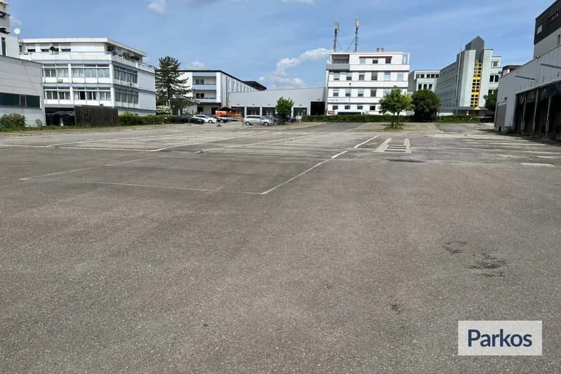 Leerer asphaltiert markierter Parkplatz vor weißen Bürogebäuden und einem Baum bei blauem Himmel.