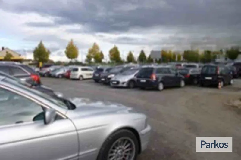 Großer Parkplatz mit vielen geparkten Autos, Baumreihe und bewölktem Himmel im Hintergrund.