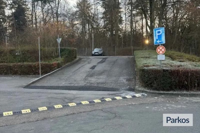Zufahrt zu umzäunter Parkfläche mit Rampe, Bodenschwelle, Parkplatzzeichen und einem abgestellten Auto oben.