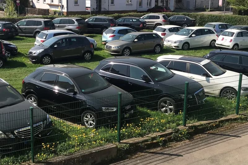 Umzäunter Grasparkplatz mit dicht geparkten Autos und gelben Löwenzahnblüten.